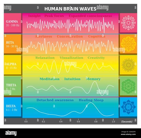 omega brain waves